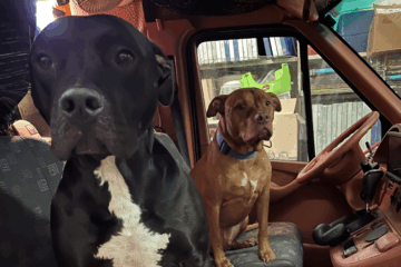 Richmond VA Events Shows & Concerts